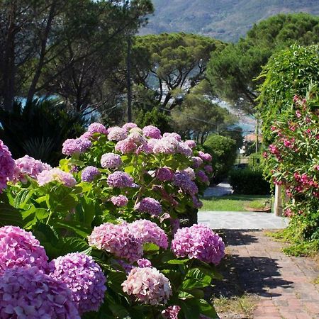 Villa Mesco Levanto Bagian luar foto