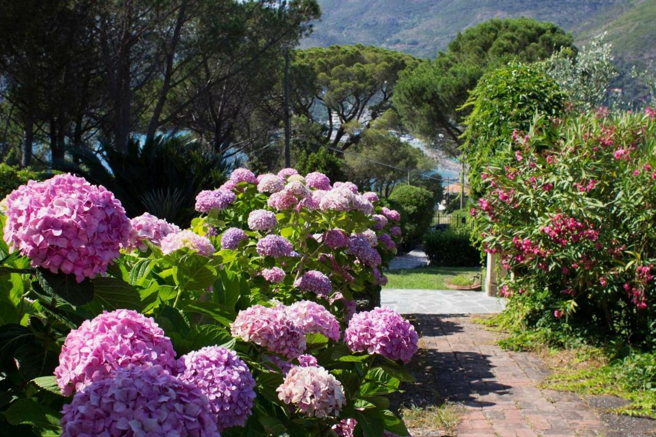 Villa Mesco Levanto Bagian luar foto
