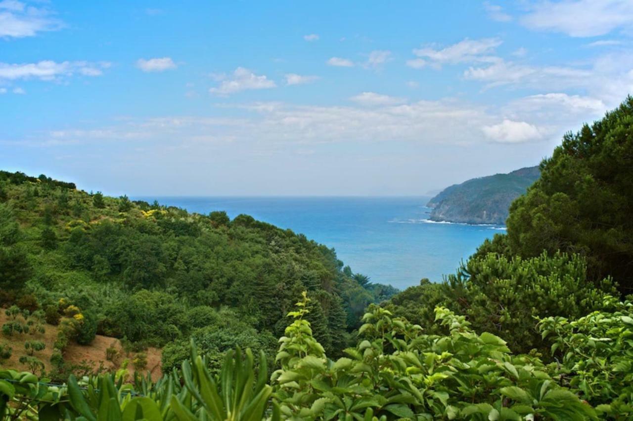 Villa Mesco Levanto Bagian luar foto